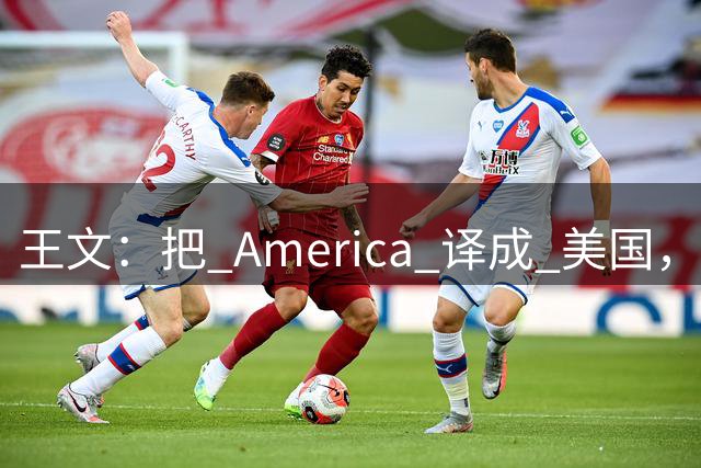 王文：把 America 译成 "美国"，从一开始我们就输了话语权